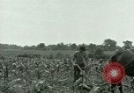 Standbild Kriegsgefangenenlager Southern United States USA, 1944, aus Sekunde 29 historischem Filmmaterial Videoclip 65675021140