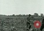 Standbild Kriegsgefangenenlager Southern United States USA, 1944, aus Sekunde 30 historischem Filmmaterial Videoclip 65675021140