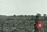 Standbild Kriegsgefangenenlager Southern United States USA, 1944, aus Sekunde 31 historischem Filmmaterial Videoclip 65675021140
