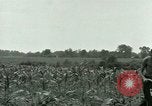 Standbild Kriegsgefangenenlager Southern United States USA, 1944, aus Sekunde 33 historischem Filmmaterial Videoclip 65675021140