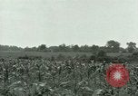 Standbild Kriegsgefangenenlager Southern United States USA, 1944, aus Sekunde 34 historischem Filmmaterial Videoclip 65675021140