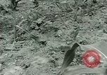 Standbild Kriegsgefangenenlager Southern United States USA, 1944, aus Sekunde 36 historischem Filmmaterial Videoclip 65675021140