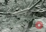 Standbild Kriegsgefangenenlager Southern United States USA, 1944, aus Sekunde 44 historischem Filmmaterial Videoclip 65675021140