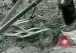Standbild Kriegsgefangenenlager Southern United States USA, 1944, aus Sekunde 45 historischem Filmmaterial Videoclip 65675021140
