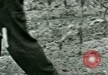 Standbild Kriegsgefangenenlager Southern United States USA, 1944, aus Sekunde 47 historischem Filmmaterial Videoclip 65675021140