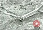 Standbild Kriegsgefangenenlager Southern United States USA, 1944, aus Sekunde 48 historischem Filmmaterial Videoclip 65675021140