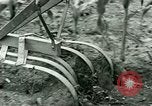 Standbild Kriegsgefangenenlager Southern United States USA, 1944, aus Sekunde 52 historischem Filmmaterial Videoclip 65675021140