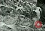 Standbild Kriegsgefangenenlager Southern United States USA, 1944, aus Sekunde 54 historischem Filmmaterial Videoclip 65675021140