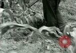 Standbild Kriegsgefangenenlager Southern United States USA, 1944, aus Sekunde 55 historischem Filmmaterial Videoclip 65675021140