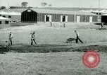 Standbild deutschen Kriegsgefangenen United States USA, 1944, aus Sekunde 32 historischem Filmmaterial Videoclip 65675021147
