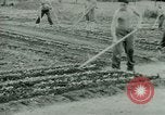 Standbild deutschen Kriegsgefangenen United States USA, 1944, aus Sekunde 22 historischem Filmmaterial Videoclip 65675021148
