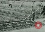 Standbild deutschen Kriegsgefangenen United States USA, 1944, aus Sekunde 23 historischem Filmmaterial Videoclip 65675021148