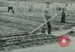 Standbild deutschen Kriegsgefangenen United States USA, 1944, aus Sekunde 24 historischem Filmmaterial Videoclip 65675021148