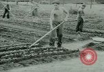 Standbild deutschen Kriegsgefangenen United States USA, 1944, aus Sekunde 25 historischem Filmmaterial Videoclip 65675021148