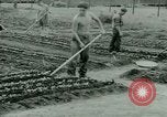 Standbild deutschen Kriegsgefangenen United States USA, 1944, aus Sekunde 26 historischem Filmmaterial Videoclip 65675021148