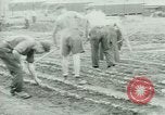 Standbild deutschen Kriegsgefangenen United States USA, 1944, aus Sekunde 40 historischem Filmmaterial Videoclip 65675021148