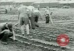 Standbild deutschen Kriegsgefangenen United States USA, 1944, aus Sekunde 42 historischem Filmmaterial Videoclip 65675021148