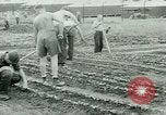 Standbild deutschen Kriegsgefangenen United States USA, 1944, aus Sekunde 43 historischem Filmmaterial Videoclip 65675021148