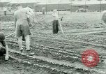 Standbild deutschen Kriegsgefangenen United States USA, 1944, aus Sekunde 46 historischem Filmmaterial Videoclip 65675021148