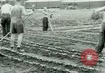 Standbild deutschen Kriegsgefangenen United States USA, 1944, aus Sekunde 48 historischem Filmmaterial Videoclip 65675021148