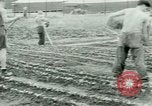 Standbild deutschen Kriegsgefangenen United States USA, 1944, aus Sekunde 50 historischem Filmmaterial Videoclip 65675021148