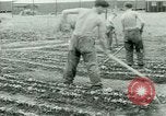 Standbild deutschen Kriegsgefangenen United States USA, 1944, aus Sekunde 54 historischem Filmmaterial Videoclip 65675021148