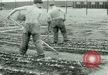 Standbild deutschen Kriegsgefangenen United States USA, 1944, aus Sekunde 57 historischem Filmmaterial Videoclip 65675021148