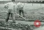 Standbild deutschen Kriegsgefangenen United States USA, 1944, aus Sekunde 58 historischem Filmmaterial Videoclip 65675021148
