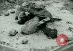Image of German Prisoners of War United States USA, 1944, second 43 stock footage video 65675021149