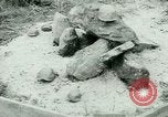 Image of German Prisoners of War United States USA, 1944, second 50 stock footage video 65675021149