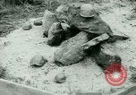 Image of German Prisoners of War United States USA, 1944, second 51 stock footage video 65675021149