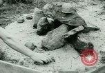 Image of German Prisoners of War United States USA, 1944, second 53 stock footage video 65675021149