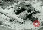 Image of German Prisoners of War United States USA, 1944, second 54 stock footage video 65675021149