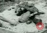 Image of German Prisoners of War United States USA, 1944, second 55 stock footage video 65675021149