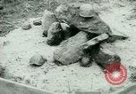 Image of German Prisoners of War United States USA, 1944, second 57 stock footage video 65675021149