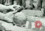 Image of German Prisoners of War United States USA, 1944, second 59 stock footage video 65675021149