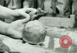 Image of German Prisoners of War United States USA, 1944, second 60 stock footage video 65675021149