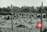 Image of German Prisoners of War United States USA, 1944, second 25 stock footage video 65675021151