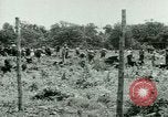Image of German Prisoners of War United States USA, 1944, second 29 stock footage video 65675021151