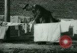 Immagine di Generali tedeschi in carcere Germania, 1945, secondo 21 filmato di repertorio 65675021162