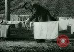 Immagine di Generali tedeschi in carcere Germania, 1945, secondo 22 filmato di repertorio 65675021162