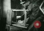 Immagine di Generali tedeschi in carcere Germania, 1945, secondo 47 filmato di repertorio 65675021162