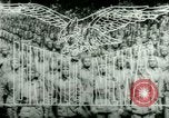 Standbild Amerikanische Bomber aircraft Streik Berlin Vereinigtes Königreich, 1944, aus Sekunde 12 historischem Filmmaterial Videoclip 65675021165