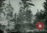 Standbild deutschen Gefangenen arbeiten im Schnee Northern United States USA, 1944, aus Sekunde 17 historischem Filmmaterial Videoclip 65675021169