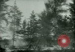 Standbild deutschen Gefangenen arbeiten im Schnee Northern United States USA, 1944, aus Sekunde 18 historischem Filmmaterial Videoclip 65675021169