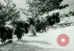 Immagine di Profughi italiani evacuare Italia, 1944, secondo 35 filmato di repertorio 65675021170