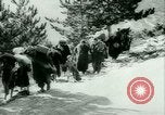 Immagine di Profughi italiani evacuare Italia, 1944, secondo 36 filmato di repertorio 65675021170