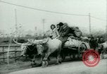 Immagine di Profughi italiani evacuare Italia, 1944, secondo 61 filmato di repertorio 65675021170