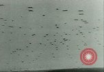 Standbild Alliierten Vereinigtes Königreich, 1944, aus Sekunde 62 historischem Filmmaterial Videoclip 65675021171