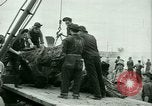Image of German and Italian Prisoners of War United States USA, 1944, second 54 stock footage video 65675021173
